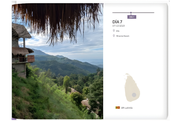 Imagen 7