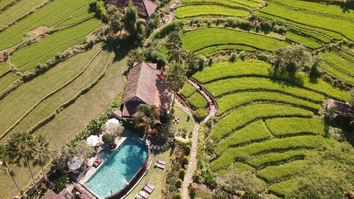 Sawah Indah Villa