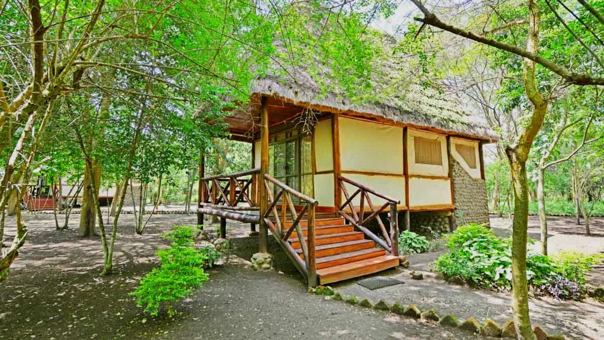 Ishasha Jungle Lodge