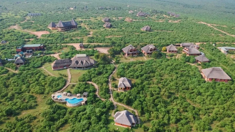 Buffalo Safari Lodge